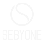 LOGO sebyone chiaro