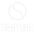 LOGO sebyone chiaro